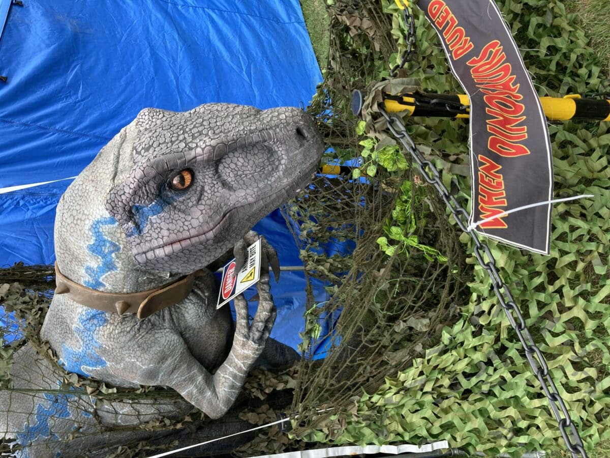 Animatronic dinosaur display at a RAGS family day out