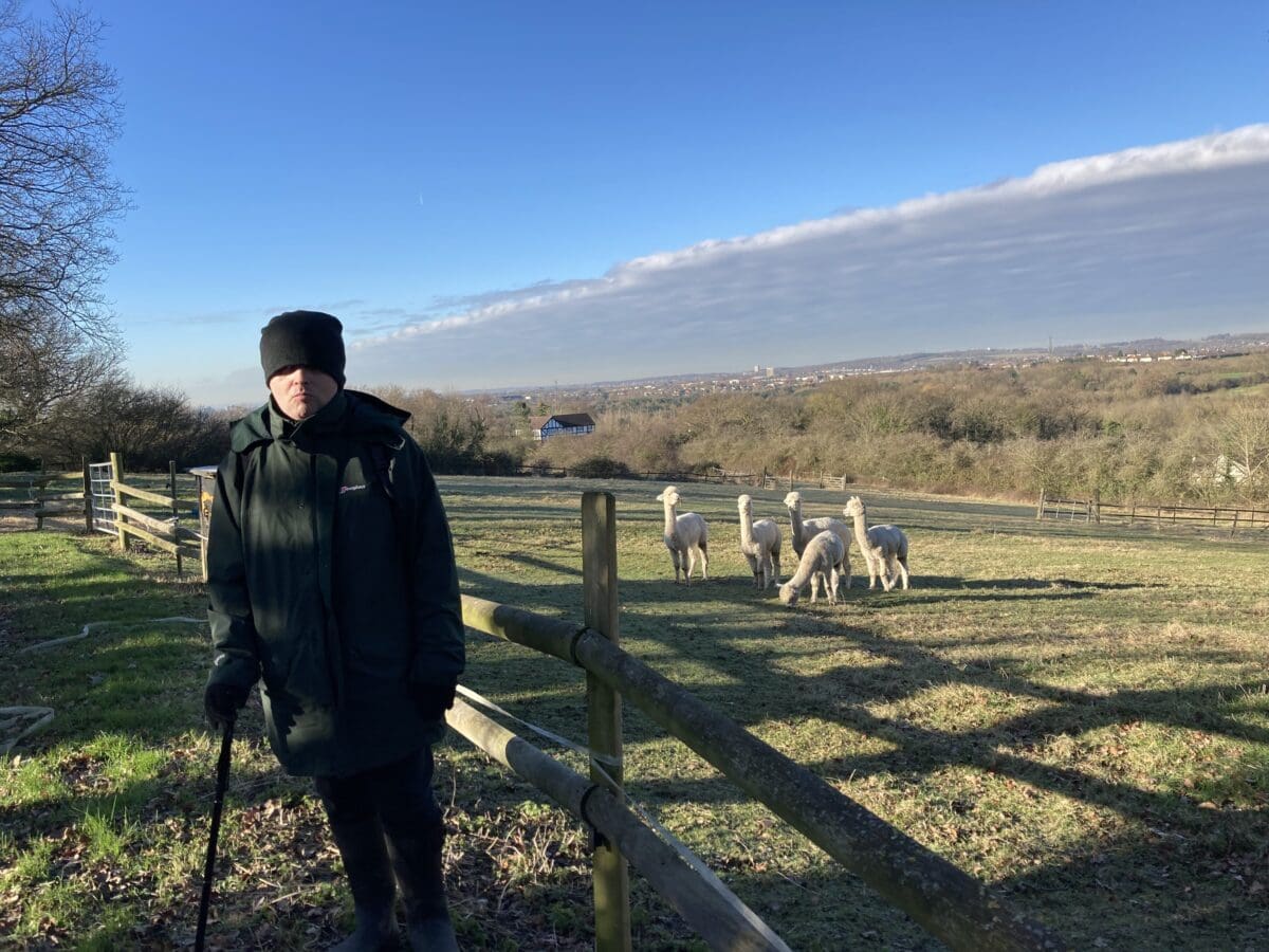 Man standing by a paddock of alpacas on a farm visit