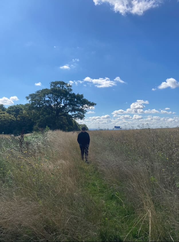 Person walking a country footpath past a large tree, RAGS group walk