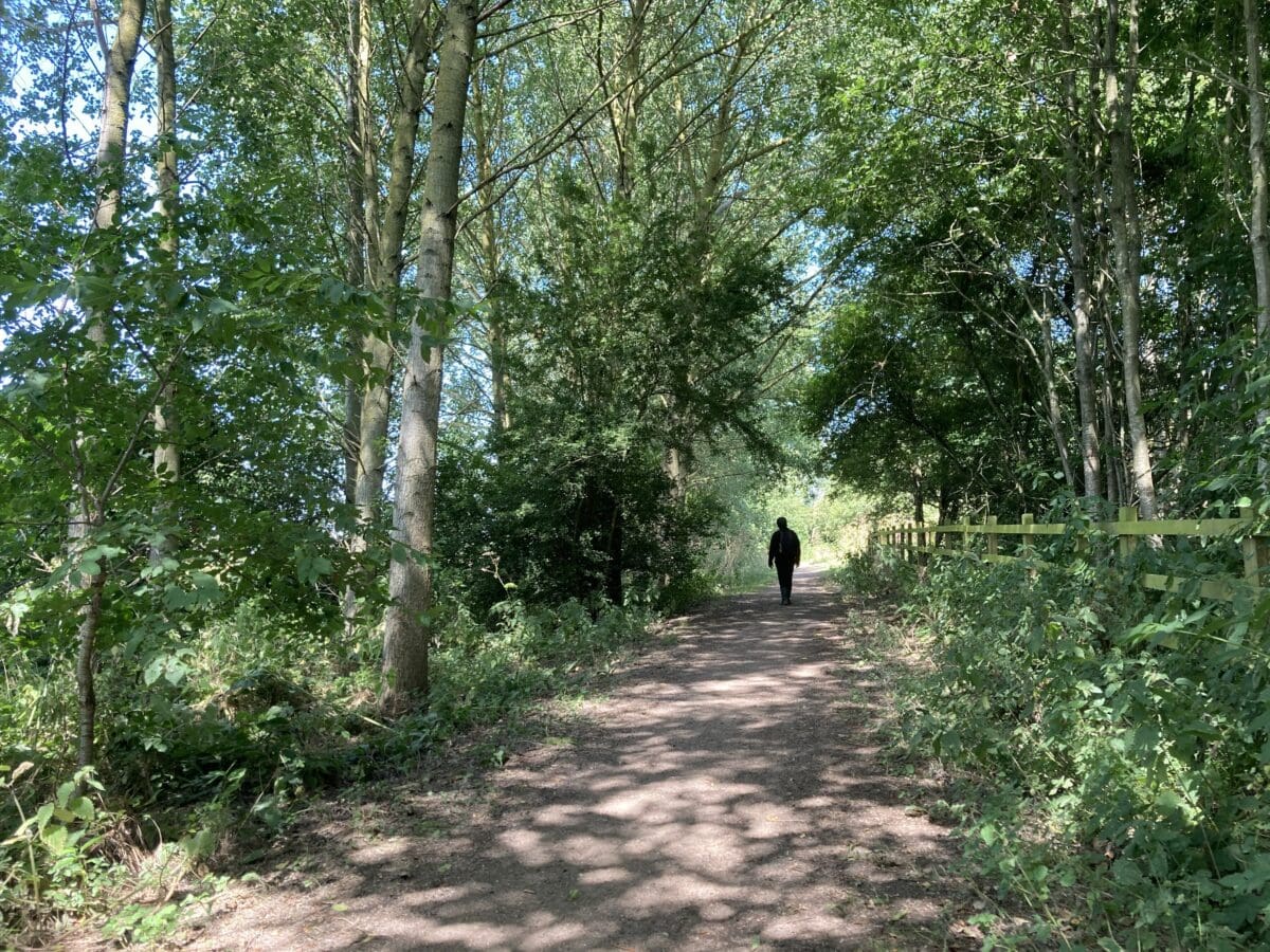 Person walking along a shaded woodland path in summer
