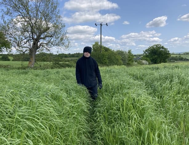 Person walking through a tall grass field on a countryside walk