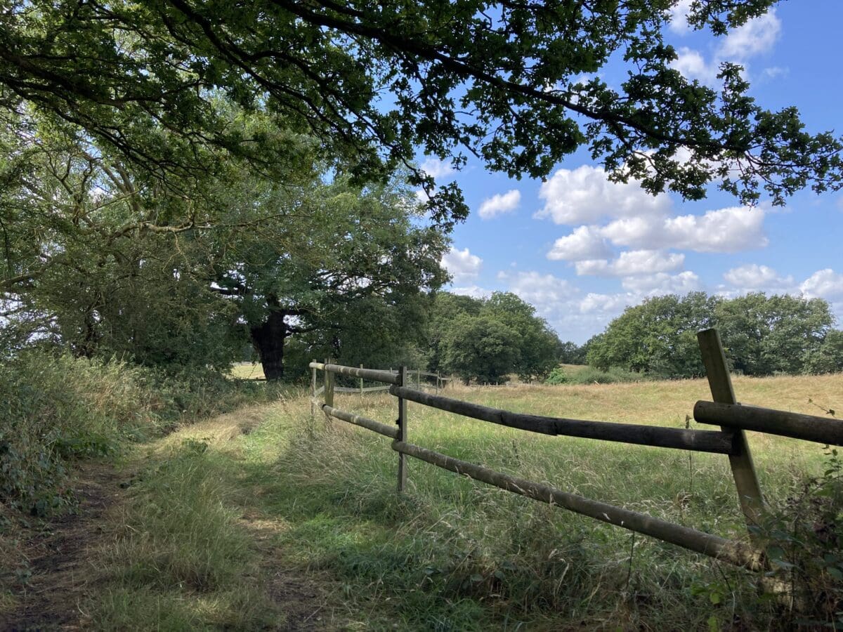 well walk 2